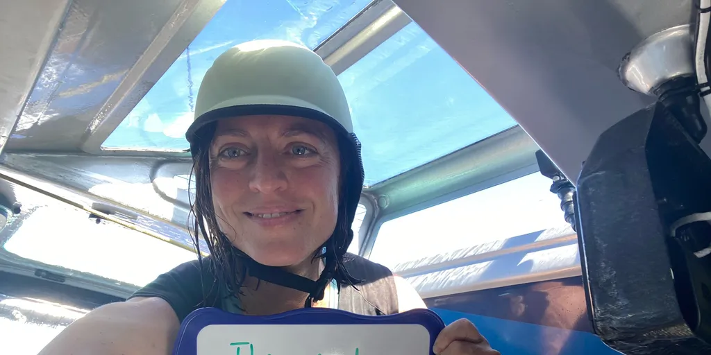 COURSE, 19 NOVEMBRE 2024 : Photo envoyée depuis le bateau TeamWork - Team Snef lors de la course à la voile du Vendée Globe, le 19 novembre 2024. (Photo du skipper Justine Mettraux)