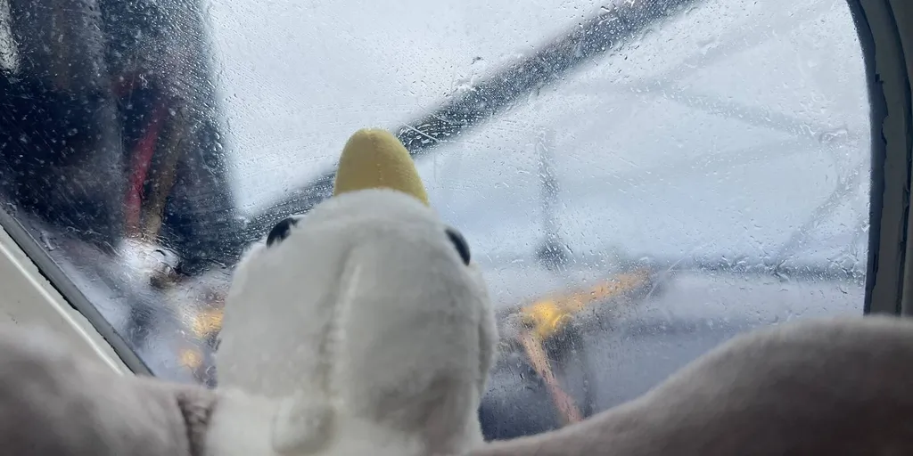RACE, DECEMBER 02, 2024 : Photo sent from the boat L’Occitane en Provence during the Vendee Globe sailing race on December 02, 2024. (Photo by skipper Clarisse Crémer)