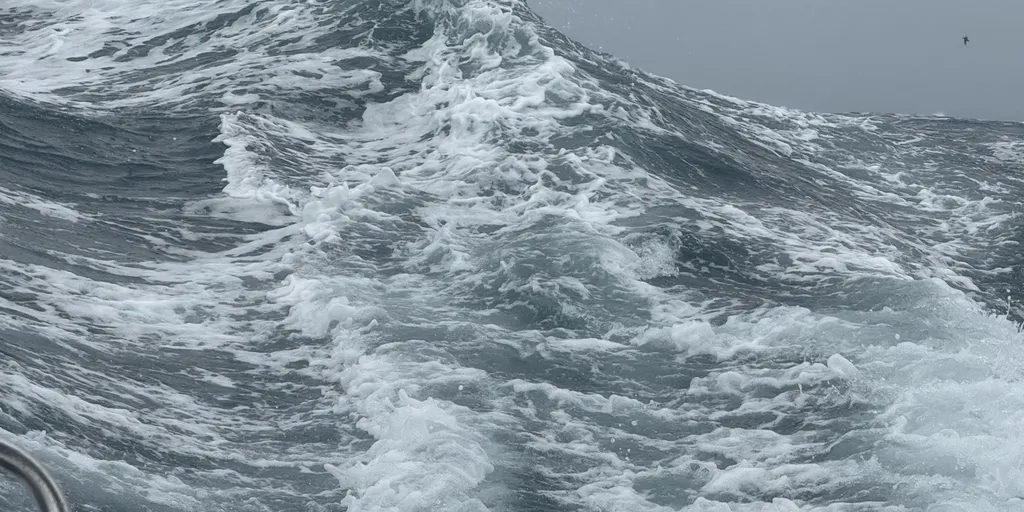 RACE, DECEMBER 04, 2024 : Photo sent from the boat DMG MORI Global One during the Vendee Globe sailing race on December 04, 2024. (Photo by skipper Kojiro Shiraishi)