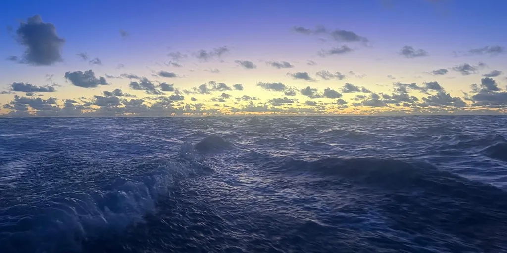 RACE, JANUARY 21, 2024 : Photo sent from the boat FOUSSIER during the Vendee Globe sailing race on January 21, 2024. (Photo by skipper Sébastien Marsset)
