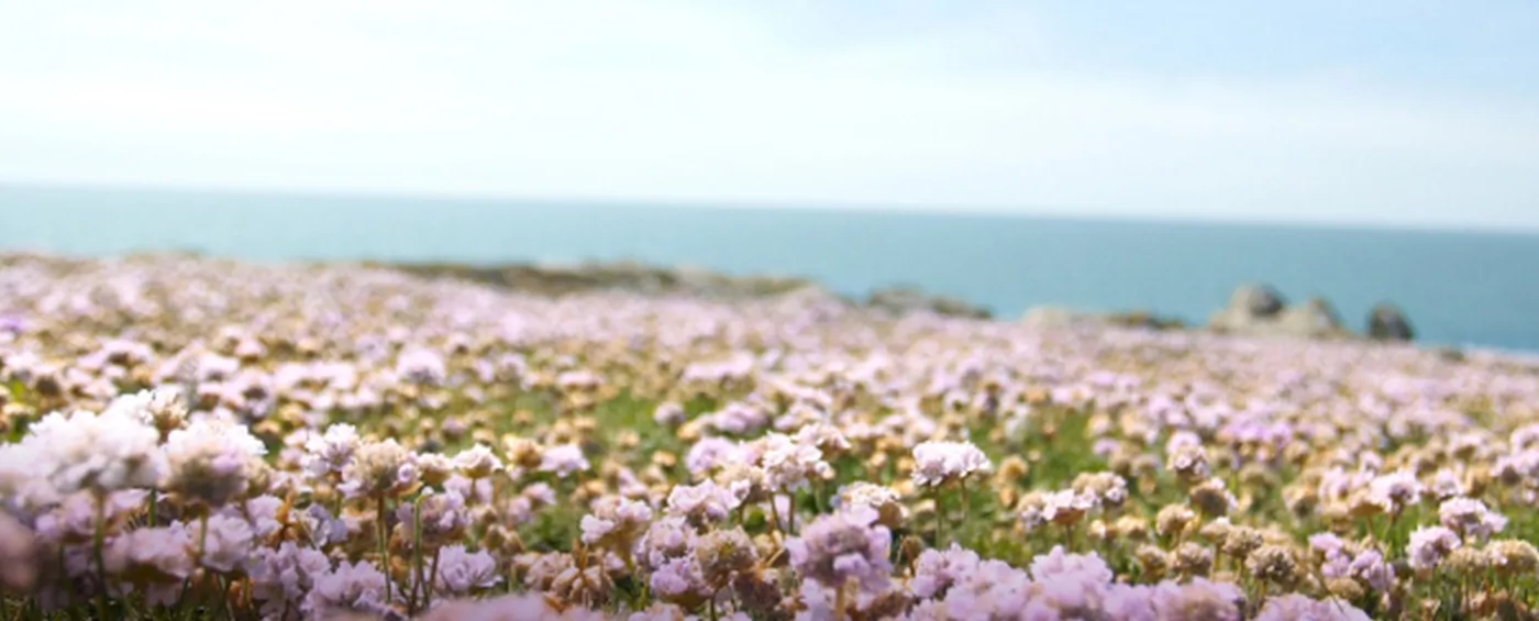 Photo d'illustration Département de la Vendée