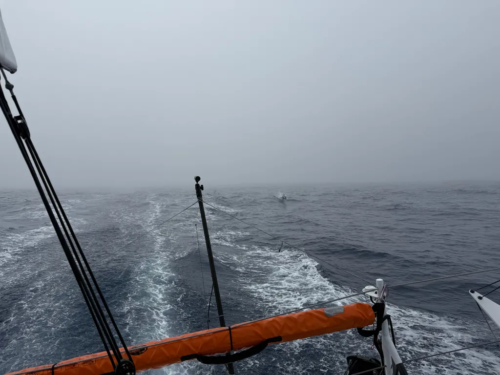 COURSE, 23 DÉCEMBRE 2024 : Photo envoyée depuis le bateau Fortinet - Best Western lors de la course à la voile du Vendée Globe le 23 décembre 2024. (Photo du skipper Romain Attanasio) Dauphin