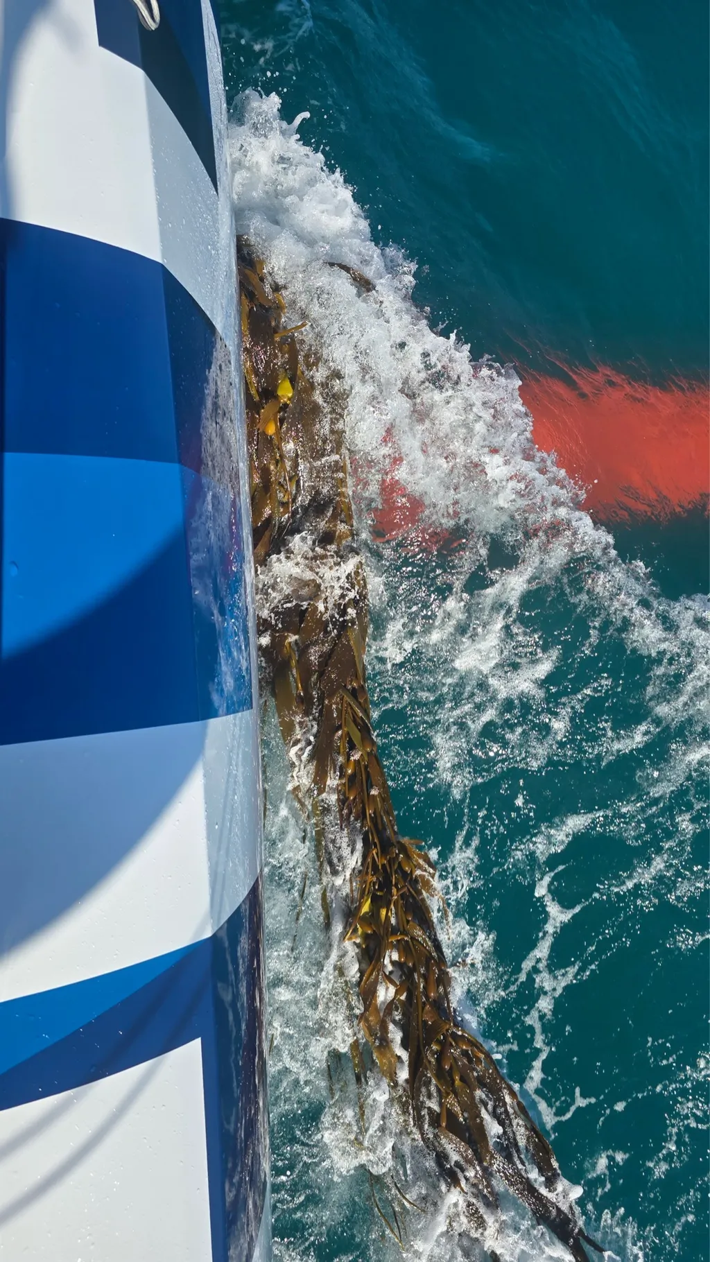 CARRERA, 30 DE DICIEMBRE DE 2024: Foto enviada desde el barco Biotherm durante la regata Vendée Globe el 30 de diciembre de 2024. (Foto del patrón Paul Meilhat)