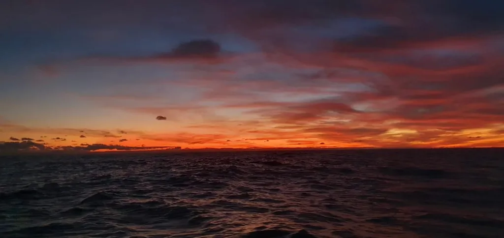RACE, JANUARY 29, 2025 : Photo sent from the boat Tout Commence en Finistère - Armor Lux during the Vendee Globe sailing race on January 29, 2025. (Photo by skipper Jean Le Cam)
North Atlantic