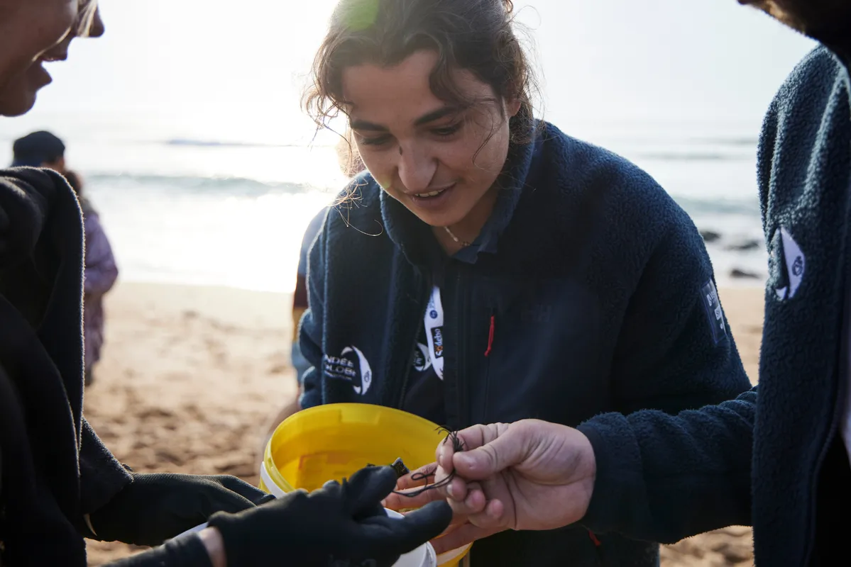 LES SABLES D'OLONNE, FRANCE - 4 NOVEMBRE 2024 : Vue générale d'un nettoyage de plage de Surfrider Foundation au Paracou avec le skipper de Biotherm Paul Meilhat (FRA) lors du pré-départ du Vendée Globe, le 4 novembre 2024 aux Sables d'Olonne, France - (Photo by Anne Beauge / Alea)