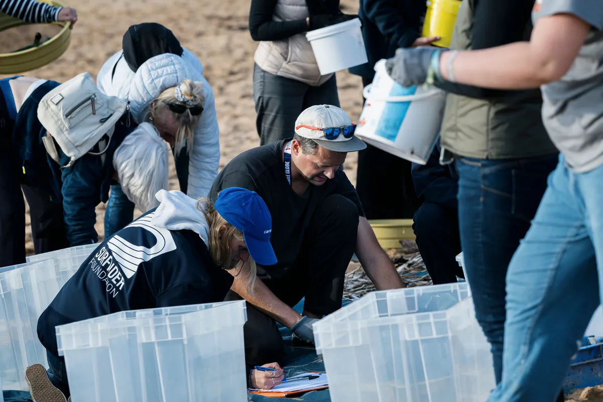 LES SABLES D'OLONNE, FRANCE - 4 NOVEMBRE 2024 : Vue générale d'un nettoyage de plage de Surfrider Foundation au Paracou avec le skipper de Biotherm Paul Meilhat (FRA) lors du pré-départ du Vendée Globe, le 4 novembre 2024 aux Sables d'Olonne, France - (Photo by Olivier Blanchet / Alea)