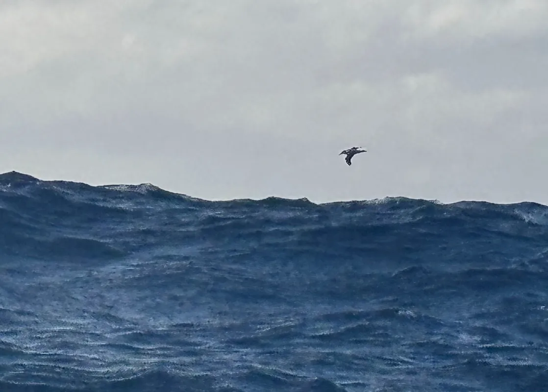 RACE, JANUARY 07, 2025 : Photo sent from the boat La Mie Caline during the Vendee Globe sailing race on January 07, 2025. (Photo by skipper Arnaud Boissières)