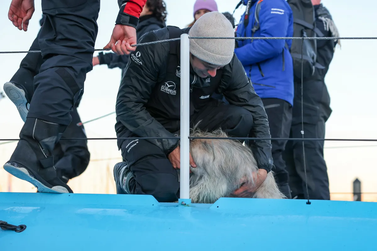 LES SABLES D'OLONNE, FRANCE - 17 JANVIER 2025 : Sébastien Simon (FRA), skipper de Groupe Dubreuil, est photographié au ponton avec son chien Chiffon après avoir pris la 3e place du Vendée Globe, le 17 janvier 2025 aux Sables d'Olonne, France - (Photo by Jean-Marie Liot / Alea)