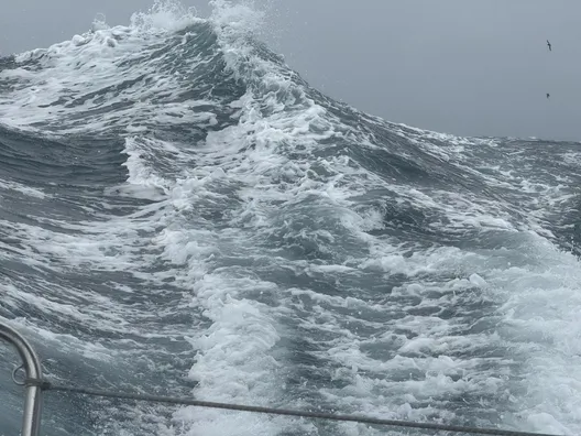 RACE, DECEMBER 04, 2024 : Photo sent from the boat DMG MORI Global One during the Vendee Globe sailing race on December 04, 2024. (Photo by skipper Kojiro Shiraishi)