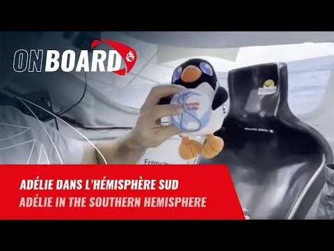 Adélie dans l'hémisphère sud !  | Vendée Globe 2024
