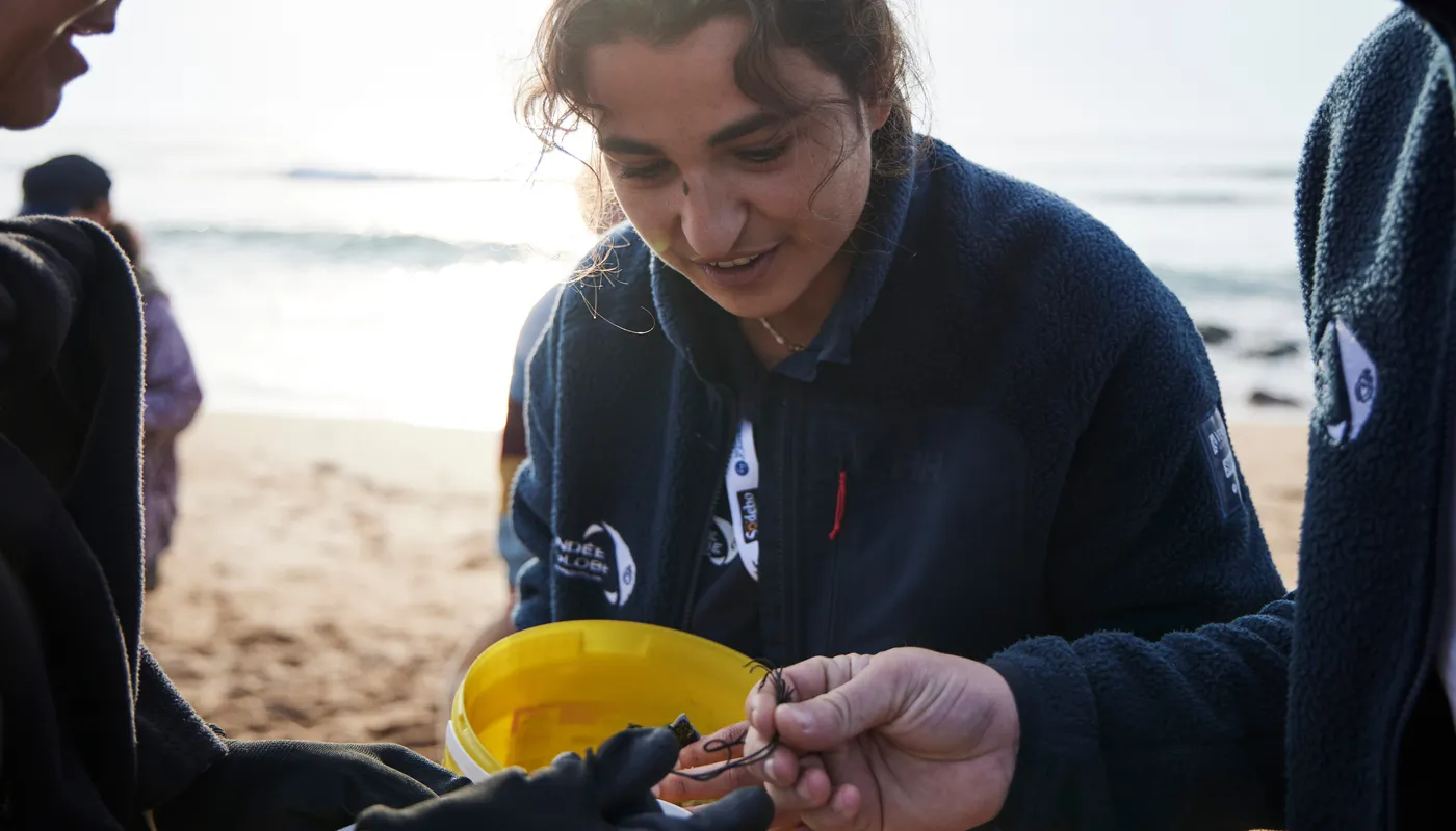 LES SABLES D'OLONNE, FRANCE - 4 NOVEMBRE 2024 : Vue générale d'un nettoyage de plage de Surfrider Foundation au Paracou avec le skipper de Biotherm Paul Meilhat (FRA) lors du pré-départ du Vendée Globe, le 4 novembre 2024 aux Sables d'Olonne, France - (Photo by Anne Beauge / Alea)