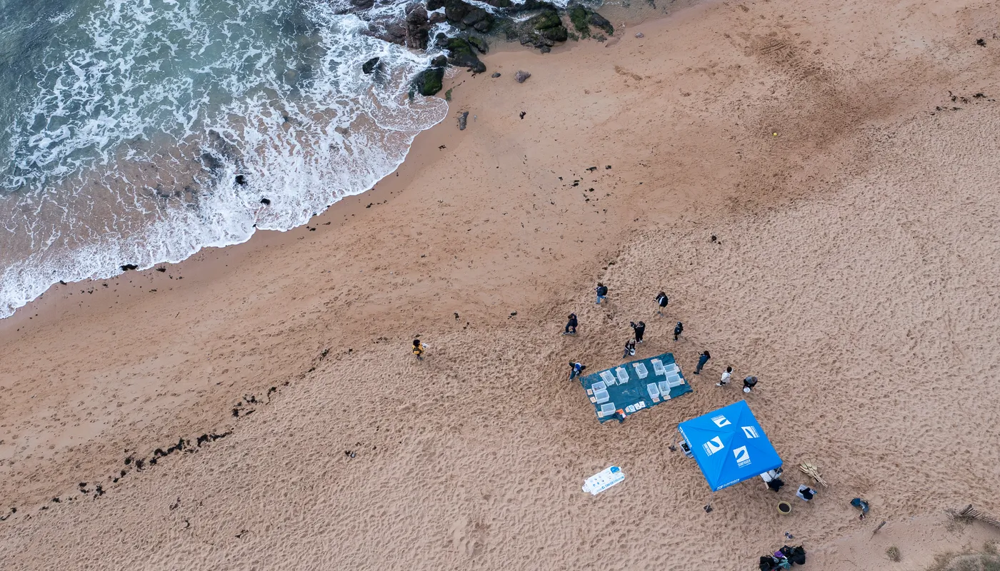 LES SABLES D'OLONNE, FRANCE - 4 NOVEMBRE 2024 : Vue générale d'un nettoyage de plage de Surfrider Foundation au Paracou avec le skipper de Biotherm Paul Meilhat (FRA) lors du pré-départ du Vendée Globe, le 4 novembre 2024 aux Sables d'Olonne, France - (Photo by Olivier Blanchet / Alea)