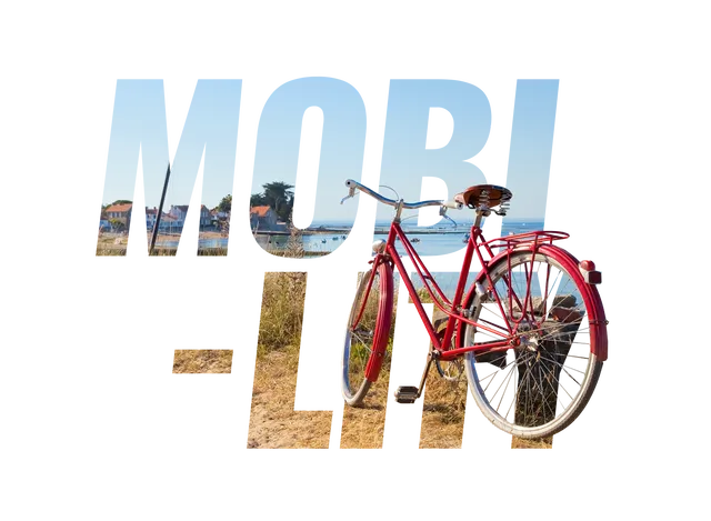text: mobility. Texture with a seaside landscape and a bicycle