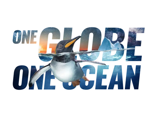 Text : One globe one ocean, with a texture of sea, and a pinguin